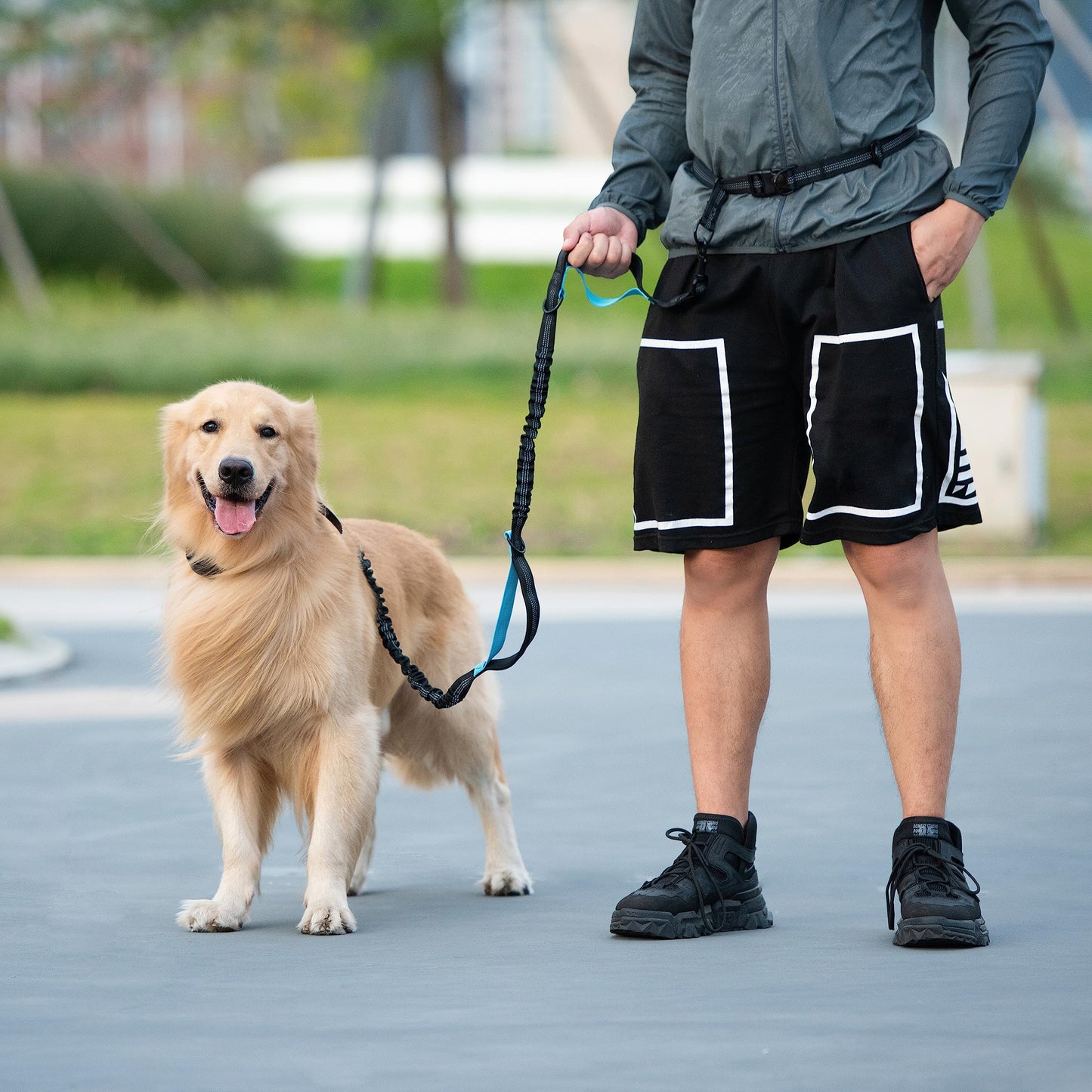 iYoShop Hands Free Dog Leash with Zipper Pouch, Dual Padded Leash