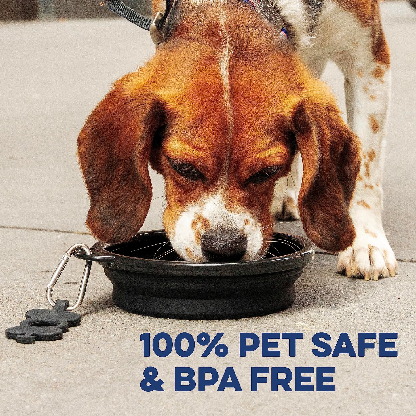 Bonza by Leash Boss Collapsible Dog Slow Feeder Bowl, Portable Bowl