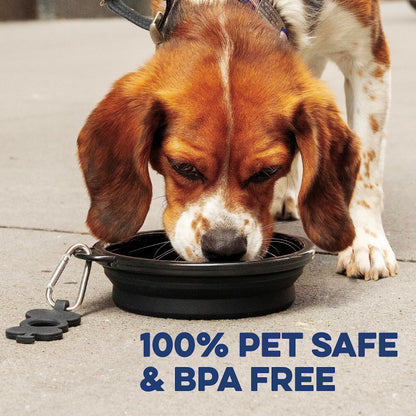 Bonza by Leash Boss Collapsible Dog Slow Feeder Bowl, Portable Bowl